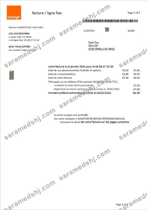 France Orange business utility bill template in Word and PDF formats1